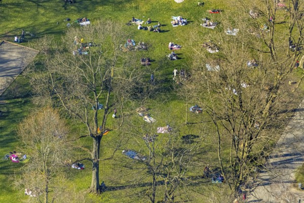 Aerial view, lawns in Westpark, spring weather on Dortmund's lawns, Dortmund, Ruhr area, North