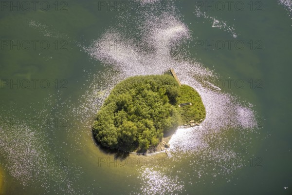 Aerial view, Phoenix Lake, island in the lake, Hörde, Dortmund, Ruhr area, North Rhine-Westphalia,