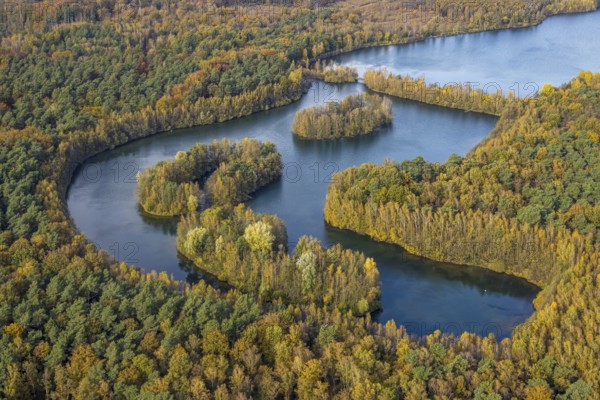 Aerial view, Heidesee surrounded by autumnal forest in the district Kirchhellen-Süd in Bottrop,