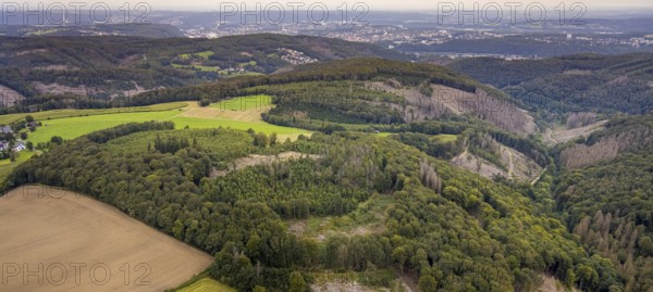 Aerial view, forest area with forest damage at the district Waldbauer Zurstraße in Breckerfeld,