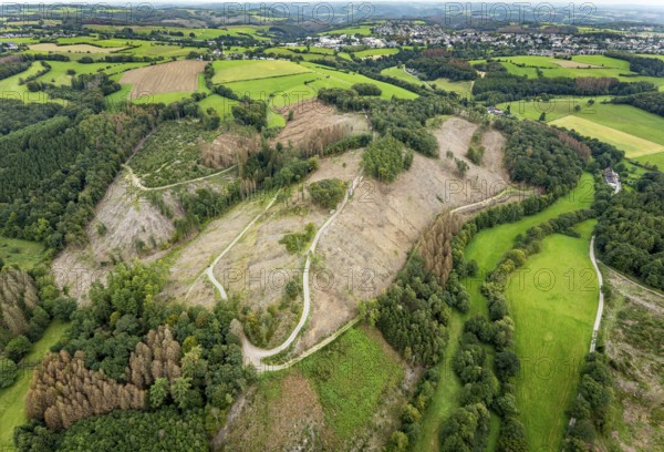 Aerial photograph, forest damage near the village of Brenscheid in Breckerfeld, Sauerland, North