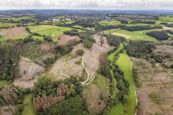 Aerial photograph, forest damage near the village of Brenscheid in Breckerfeld, Sauerland, North