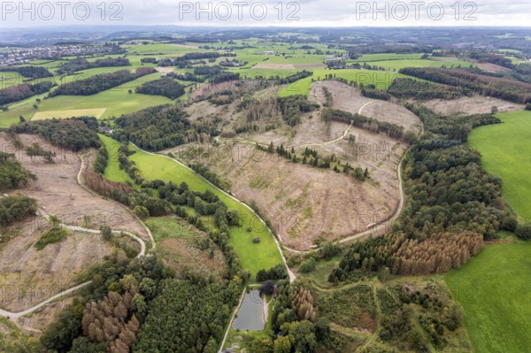 Aerial view, forest damage at the fishing ponds Angelparadies Steinbachtal in Breckerfeld,