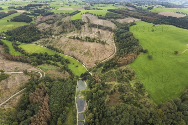 Aerial view, forest damage at the fishing ponds Angelparadies Steinbachtal in Breckerfeld,