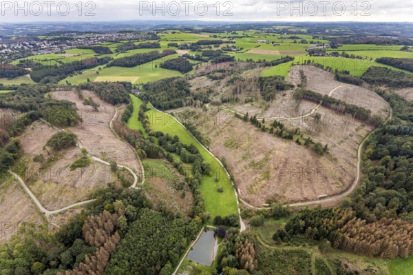 Aerial view, forest damage at the fishing ponds Angelparadies Steinbachtal in Breckerfeld,