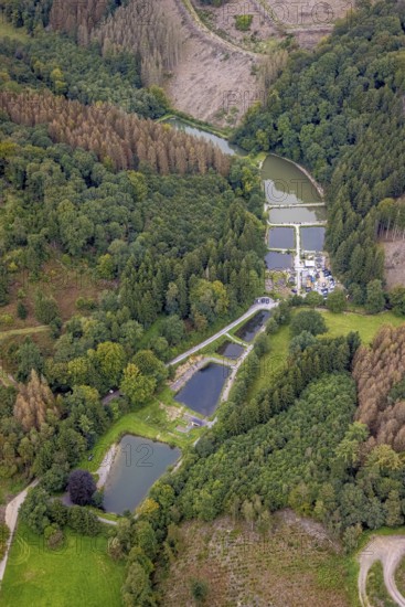Aerial photo, fishing ponds Angelparadies Steinbachtal in Breckerfeld, Sauerland, North