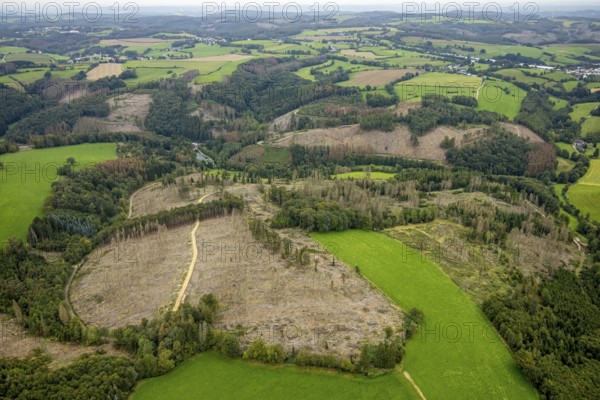 Aerial view, forest damage at Steinbachtal near the village of Boßel in Breckerfeld, Sauerland,