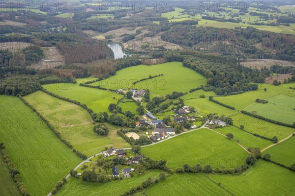 Aerial view, housing estate surrounded by meadows and fields in Ebbinghausen with forest damage at