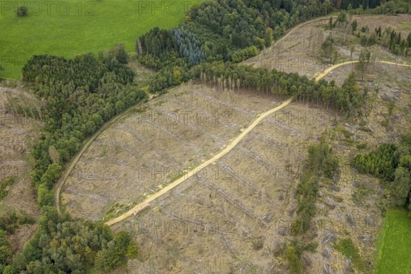 Aerial view, forest damage at Steinbachtal near the village of Boßel in Breckerfeld, Sauerland,