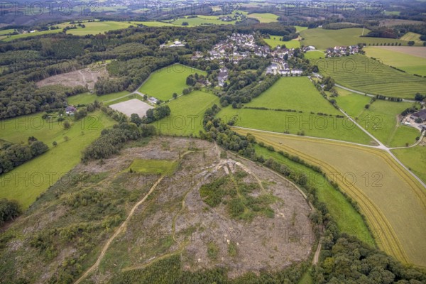 Aerial view, forest area with forest damage with view of district Waldbauer Zurstraße in