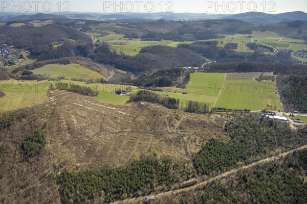 Aerial photo, forest dieback Thülener Bruch, Plattenberg, Brilon, Sauerland, North