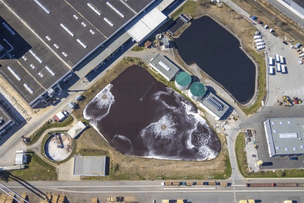 Aerial photograph, Egger Holzwerkstoffe Brilon, sewage treatment plant, Brilon, Sauerland, North