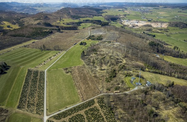 Aerial view, nature reserve Poppenberg, forest dieback, hut Ski-Club Brilon, Brilon, Sauerland,