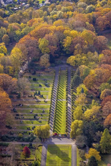 Aerial view, avenue of trees in the park cemetery in the Fuhlenbrock district of Bottrop, Ruhr