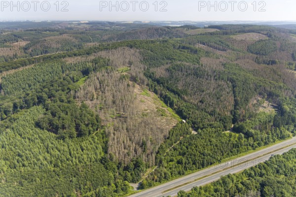 Aerial photo, forest area with forest damage in Hüsten, Arnsberg, Sauerland, North