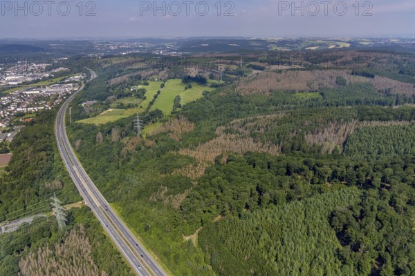 Aerial photo, forest area with forest damage in Neheim, Arnsberg, Sauerland, North