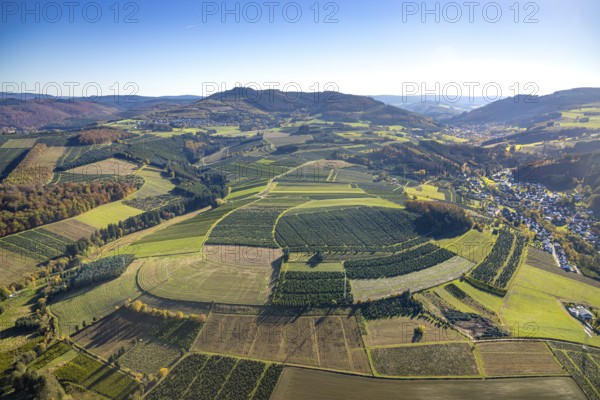 Aerial view, meadows and fields with Christmas tree cultivation at the district Heringhausen in
