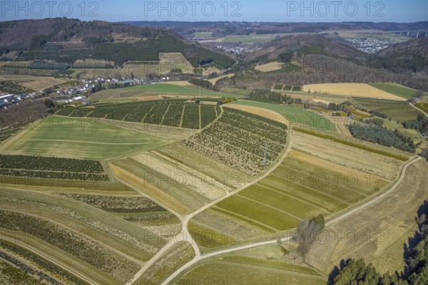 Aerial view, tree plantations, nature reserve Elpetal, meadows and fields, Heringhausen, Bestwig,