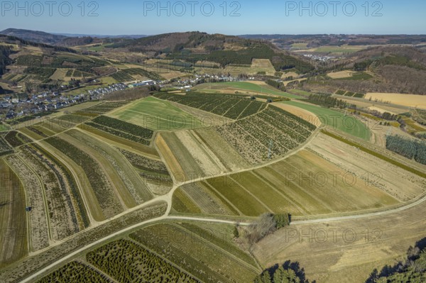 Aerial view, tree plantations, nature reserve Elpetal, meadows and fields, Heringhausen, Bestwig,