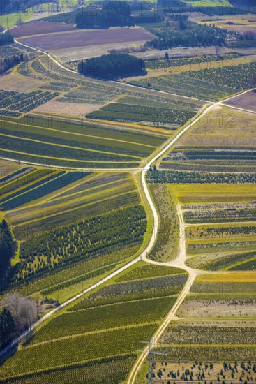 Aerial view, tree plantations, nature reserve Elpetal, meadows and fields, Gevelinghausen, Olsberg,