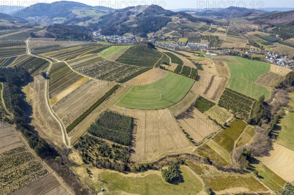 Aerial view, tree plantations, meadows and fields, Heringhausen, Bestwig, Sauerland, North