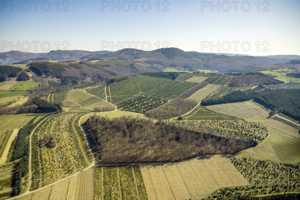 Aerial view, tree plantations, meadows and fields, Gevelinghausen, Olsberg, Sauerland, North