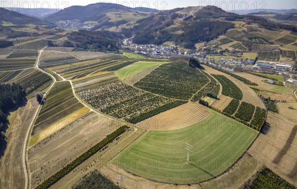 Aerial view, tree plantations, meadows and fields, Heringhausen, Bestwig, Sauerland, North