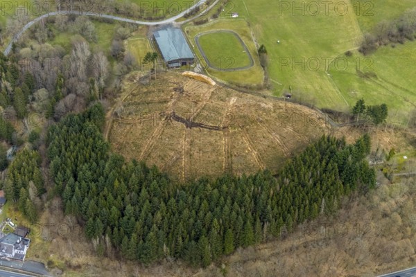 Aerial photo, forest damage in the forest area Friedwald, Saßmannshausen, Bad Laasphe, Siegerland,
