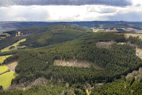 Aerial photograph, forest damage in the Holzhausen forest area, Bad Laasphe, Siegerland, North