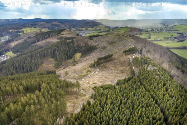 Aerial photo, forest damage in the Holzhausen forest area, Bad Laasphe, Siegerland, North
