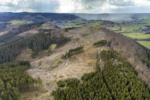 Aerial photo, forest damage in the Holzhausen forest area, Bad Laasphe, Siegerland, North