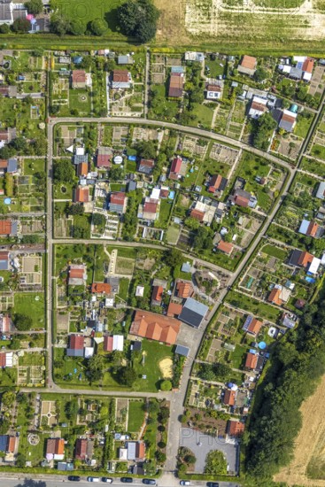 Aerial view, allotment garden association Im Krähenwinkel e.V. in Bergkamen, Ruhr area, North