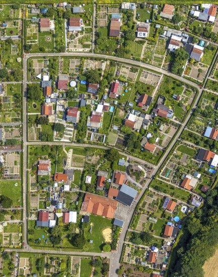 Aerial view, allotment garden association Im Krähenwinkel e.V. in Bergkamen, Ruhr area, North