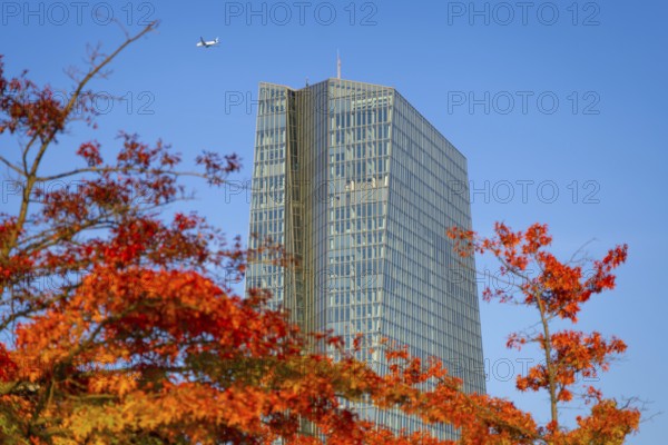 The European Central Bank (ECB) in Frankfurt am Main stands out from the autumnal, colourful trees