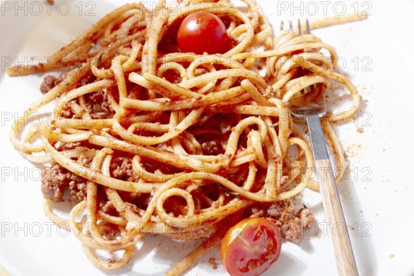 A plate holds freshly cooked spaghetti topped with flavorful meat sauce and garnished with bright