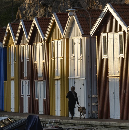 Woman with dog in front of colourful boathouses in the harbour of Smögen, Smögenbryggan, Västra