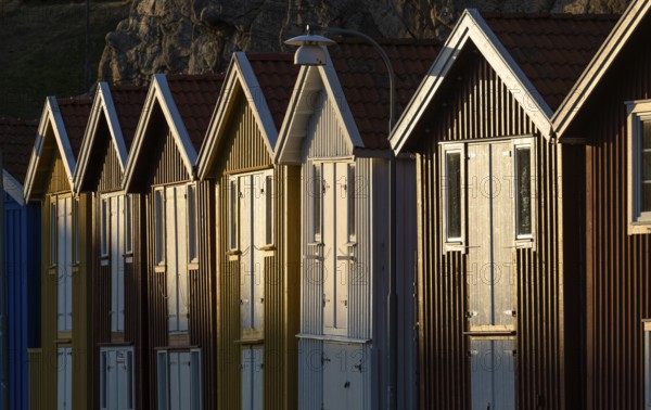 Colourful boathouses in the harbour of Smögen, Smögenbryggan, Västra Götalands Län, Bohuslän,