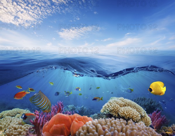 Scuba diver diving over coral tropical reef, with colorful sea fish beautiful ocean ecosystem, AI