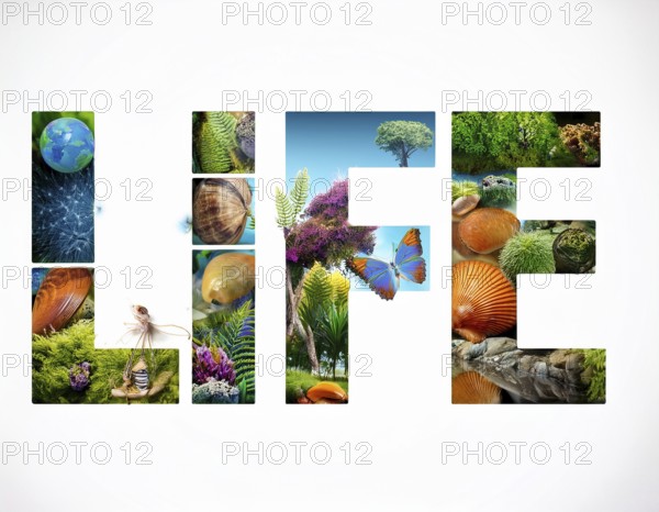 An artistic depiction of the word 'LIFE' filled with vivid imagery representing nature, wildlife,