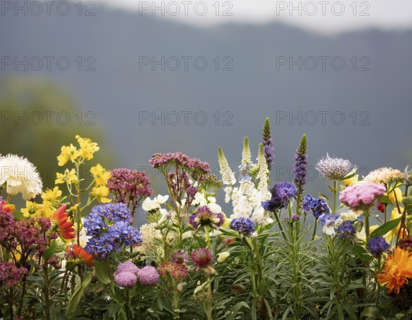A variety of colorful wildflowers flourish on a hillside against a blurred mountainous backdrop.