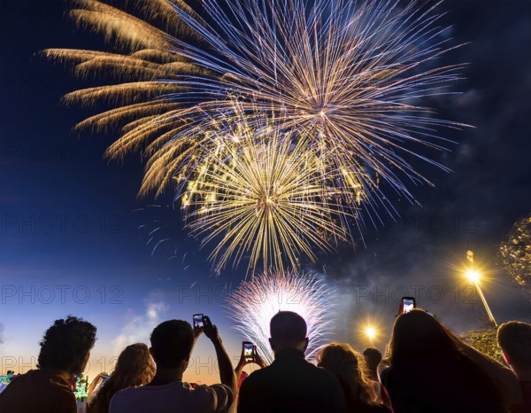 Thrilling fireworks illuminate the dark sky as a crowd gathers to enjoy the dazzling display,
