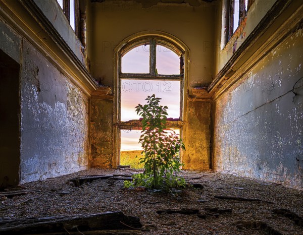 An abandoned building reveals a stunning view of a colorful sunset through a decayed window,