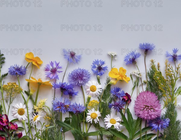 Beautiful arrangement of multiple vibrant wildflowers laid on a clean surface, perfect for seasonal