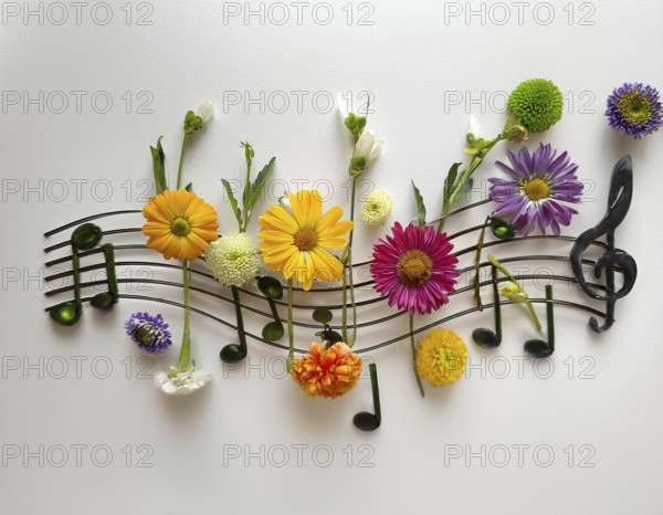 Floral arrangement creatively mimicking sheet music, blending vibrant flowers and artistic design