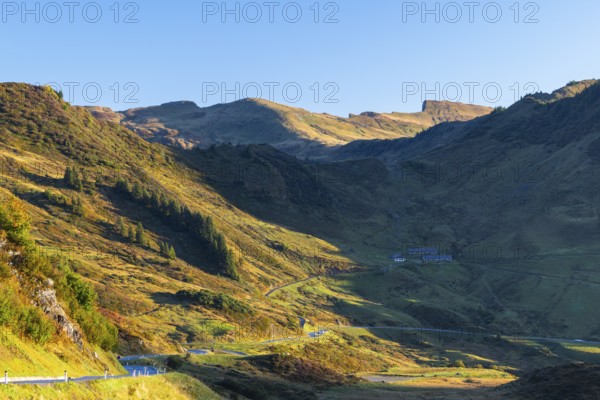 View from Furkajoch to the pass road, spruce trees (Picea) on the mountainside, pine trees