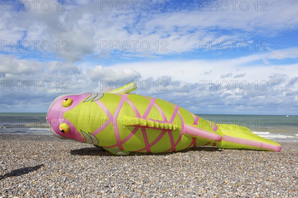 Kite festival on the beach, international kite festival, kite in the shape of a fish lies on the