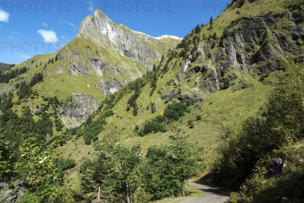 Driveway, hiking trail to Käser Alpe, behind Himmelhorn, Oytal, near Oberstdorf, Oberallgäu,