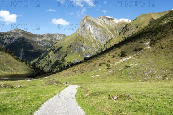 Driveway, hiking trail to Käser Alpe, behind Himmelhorn, Oytal, near Oberstdorf, Oberallgäu,