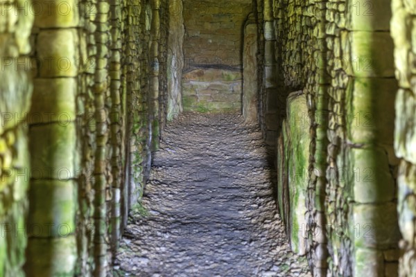 Modern-day neolithic style long Barrow burial chamber for storing cremation urns, All Cannings,