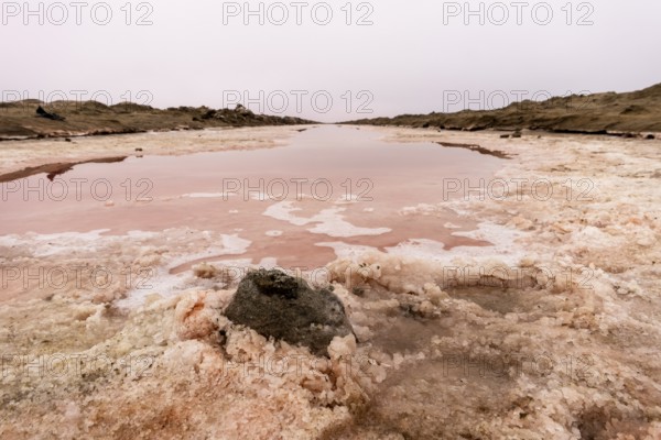 Pink salt flats with mineral-rich water in Sandwich Harbour, Namib-Naukluft National Park, Namibia.